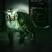 Beast Boy Tiger