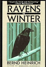 Ravens in Winter (Bernd Heinrich)