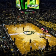 Matthew Knight Arena