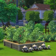 Gardening