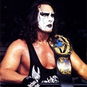 Sting and Kevin Nash WCW World Tag Team Champions X1