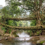 Umshiang Double-Decker Root Bridge