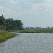 Nansemond National Wildlife Refuge