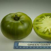 Green Giant