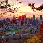 Climb Mount Royal Before It's Freezing