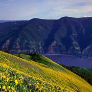 Columbia Gorge