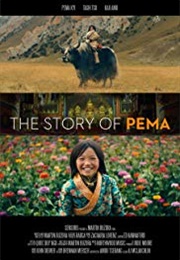 The Story of Pema (2019)