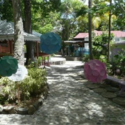 Tillett Gardens, US Virgin Islands