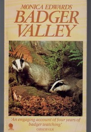 Badger Valley (Monica Edwards)