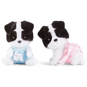 Border Collie Babies