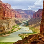 See the Grand Canyon (Natural Wonder)