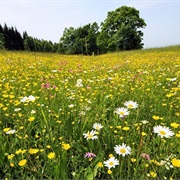 White Carpathians (Bile Karpaty), Czech/Slovakia