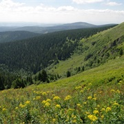 Hruby Jesenik Protected Landscape Area, Czech