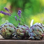 #36:  Appetizers and Snacks:  White Bean and Artichoke Spread