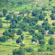Bassari Country: Bassari, Fula and Bedik Cultural Landscapes