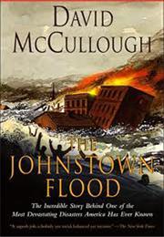The Johnstown Flood - Book
