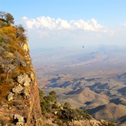 Chihuahuan Desert