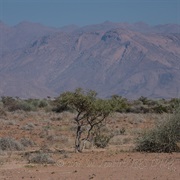 Namibia: Brandberg Mountain