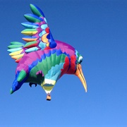 Is That a Hummingbird?