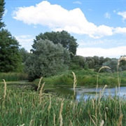Wenatchee Confluence State Park, Washington