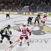 Go to an Ice Hockey Game