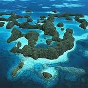 Blue Corner Wall, Palau, Micronesia