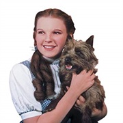 Dorothy and Toto