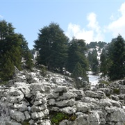 Karst Country, Puerto Rico