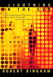 Lightning on the Sun (Robert Bingham)