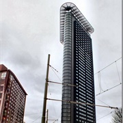 Het Strijkijzer, Hague