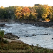 North Carolina: Roanoke River (410 Miles)
