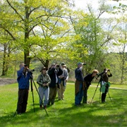 Herrick's Cove, Vermont