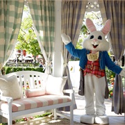 Meet the Easter Bunny