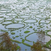 Loktak Lake, Manipur