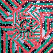 Ducktails ‎– Ducktails (2009)