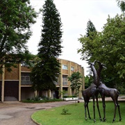 Natural History Museum of Zimbabwe