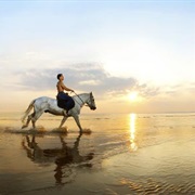 Ride a Horse on a Beach