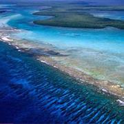 Belize Barrier Reef Reserve System