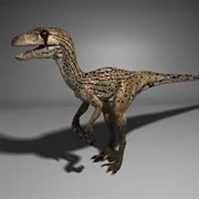 Utahraptor