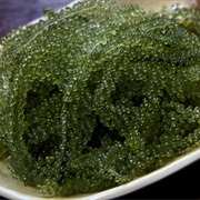 Green Caviar (Caulerpa Lentillifera)
