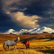Mongolian Landscapes