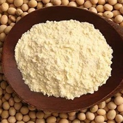 Defatted Soy Flour