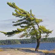 Killbear Provincial Park