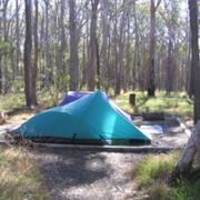 Grey Peaks National Park (QLD)