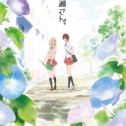 Kimi No Hikari: Asagao to Kase-San.