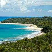 Discovery Coast Atlantic Forest Reserves