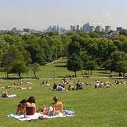 Take a Walk on London's Primrose Hill