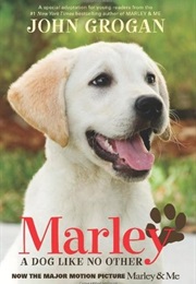 Marley: A Dog Like No Other (John Grogan)