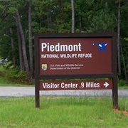 Piedmont National Wildlife Refuge