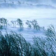 Listen to the Wind Howl